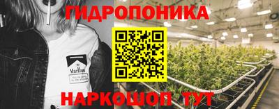 мдпв Донской