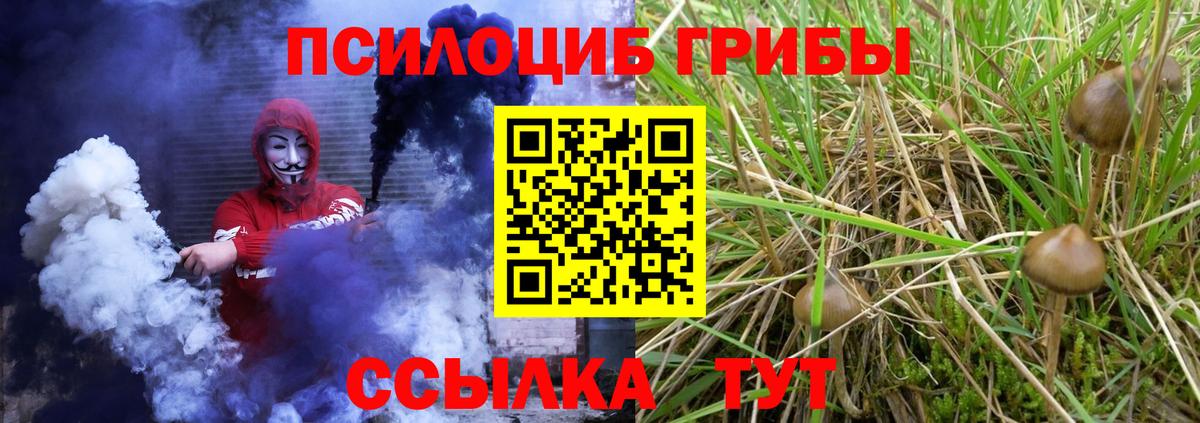Галлюциногенные грибы GOLDEN TEACHER Медногорск